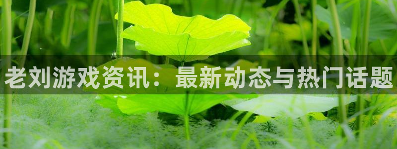 手机版极悦娱乐客户端下载