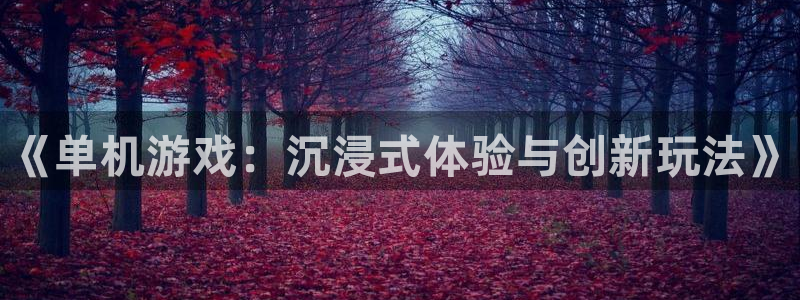 极悦娱乐平台官网客服电话：《单机游戏：沉浸式体验与创新玩法》
