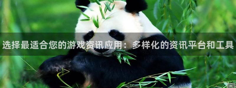极悦娱乐线路测试：选择最适合您的游戏资讯应用：多样化的资讯平