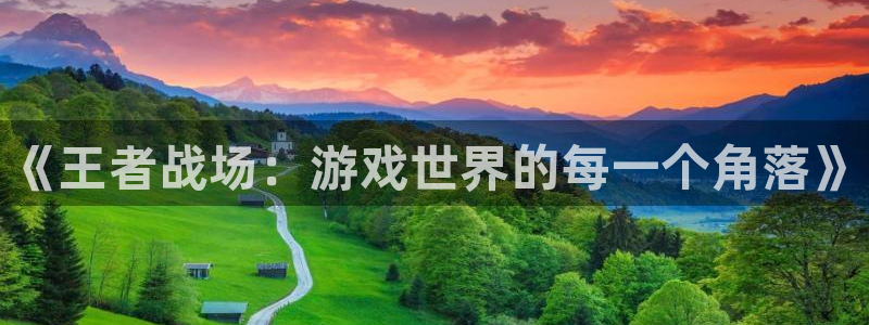 极悦娱乐注册测速：《王者战场：游戏世界的每一个角落》