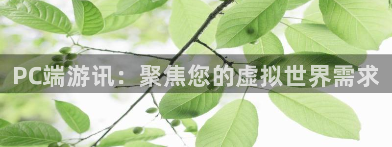 极悦娱乐是什么