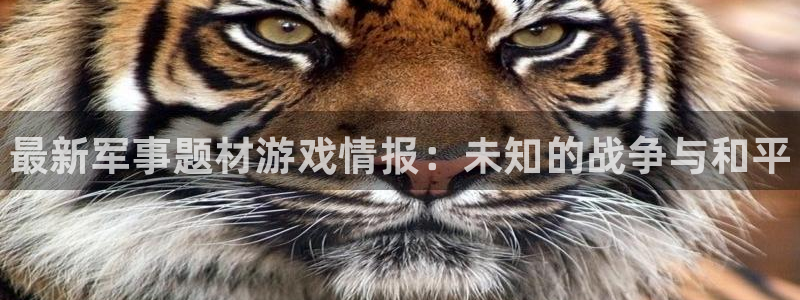 极悦娱乐2登录：最新军事题材游戏情报：未知的战争与和平
