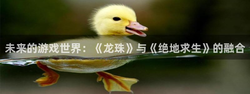 极悦娱乐平台登陆