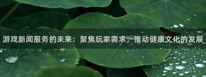 极悦娱乐登录网址：游戏新闻服务的未来：聚焦玩家需求，推动健康