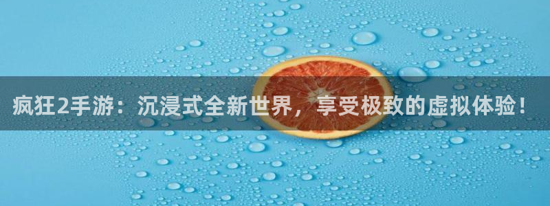 极悦娱乐网址官网：疯狂2手游：沉浸式全新世界，享受极致的虚拟