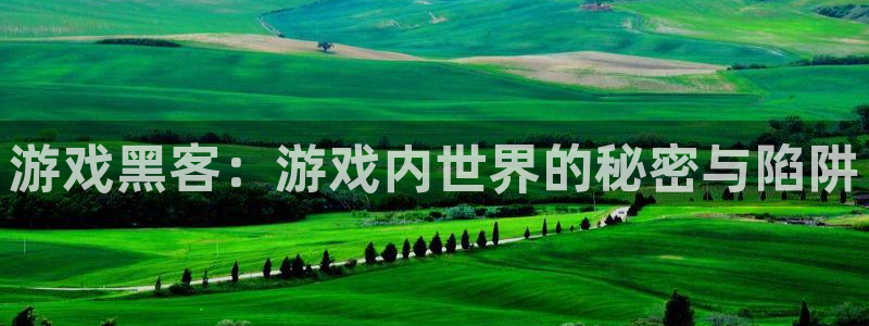 极悦娱乐登陆地址：游戏黑客：游戏内世界的秘密与陷阱