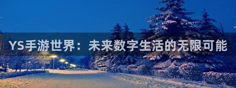 极悦娱乐官方注册登录：YS手游世界：未来数字生活的无限可能