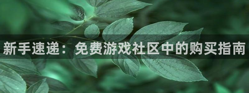 极悦娱乐网页登录入口官网：新手速递：免费游戏社区中的购买指南