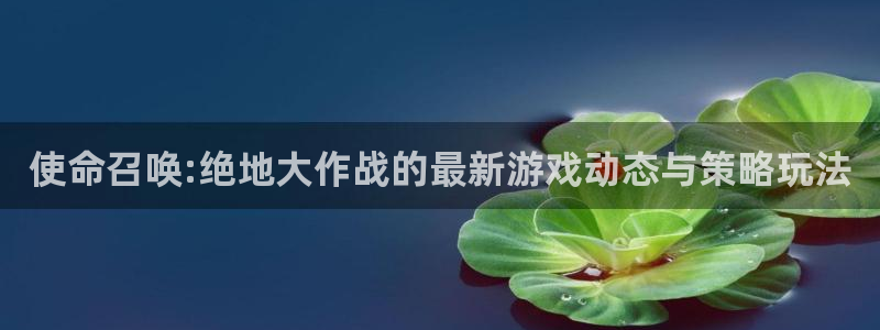 极悦娱乐注册：使命召唤:绝地大作战的最新游戏动态与策略玩法