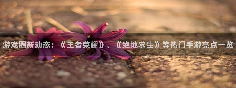 极悦娱乐注册账号：游戏圈新动态：《王者荣耀》、《绝地求生》等