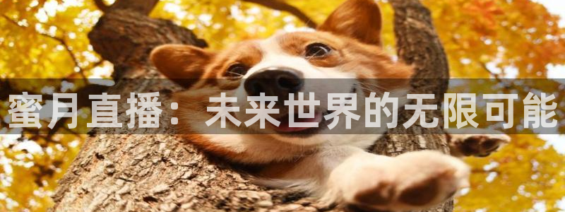 nba直播免费极速体育：蜜月直播：未来世界的无限可能