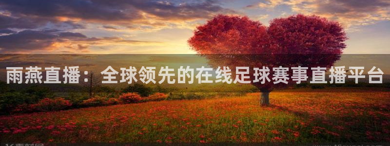 极速nba直播吧：雨燕直播：全球领先的在线足球赛事直播平台