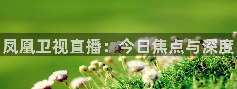 nba直播体育直播极速：凤凰卫视直播：今日焦点与深度