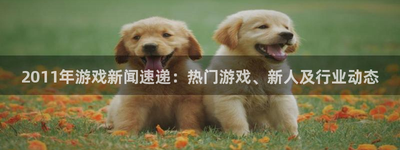 极悦娱乐2登录：2011年游戏新闻速递：热门游戏、新人及行业