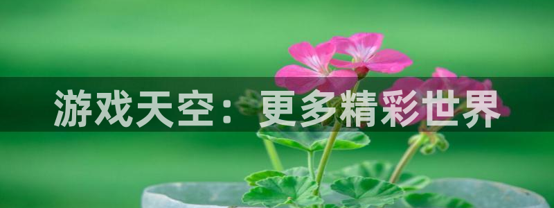 极悦娱乐网页登录入口下载：游戏天空：更多精彩世界