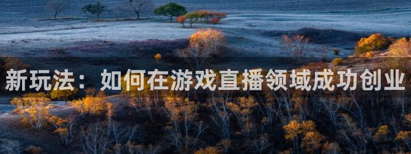 极悦娱乐科技：新玩法：如何在游戏直播领域成功创业