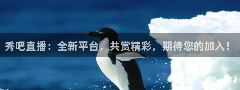 极速体育直播吧体育直播nba：秀吧直播：全新平台，共赏精彩，期待您的加入！