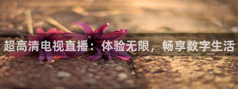 极速体育直播吧免费观看：超高清电视直播：体验无限，畅享数字生活